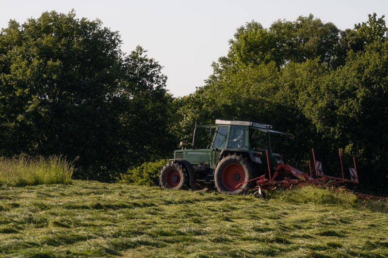 Turning Under Summer Cover Crops