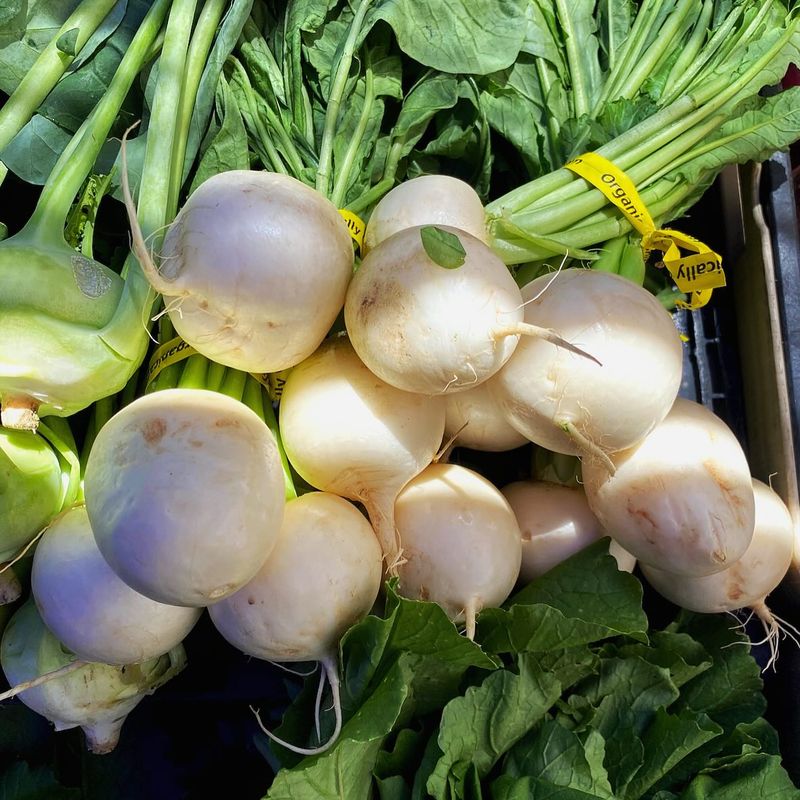 Turnips Give Gardeners Greens Along With The Roots Below