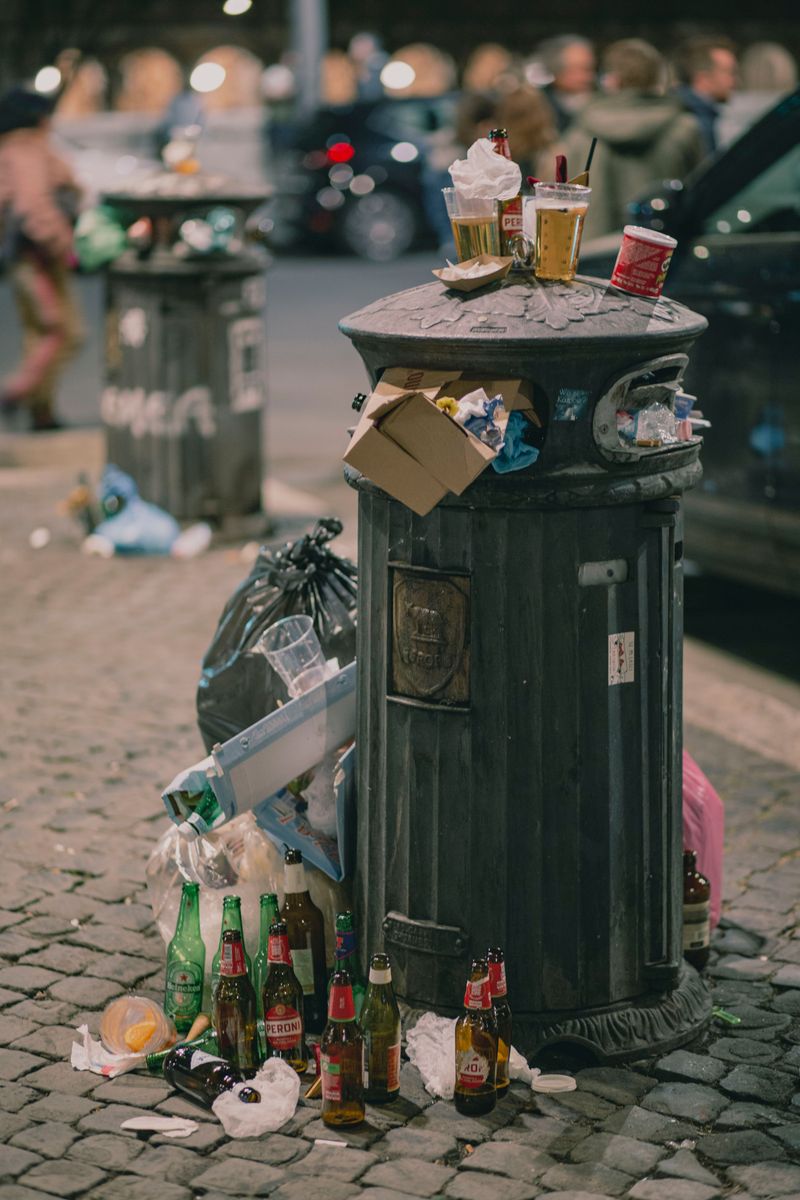 Uncovered Trash Cans Send Out An Open Invitation Uncovered Trash Cans Send Out An Open Invitation