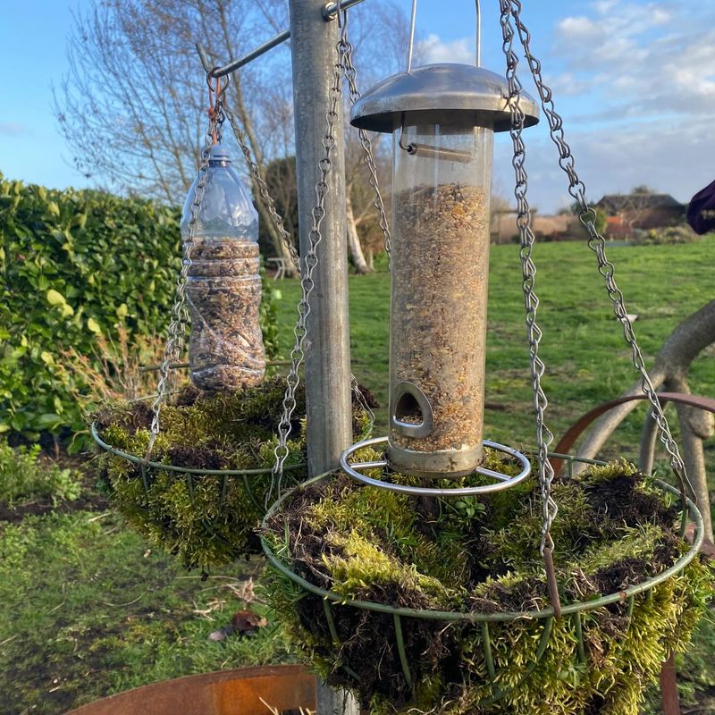 Under Bird Feeders