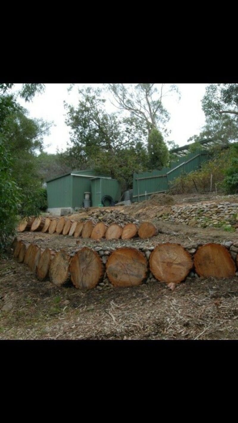 Under Rocks, Logs, and Boards