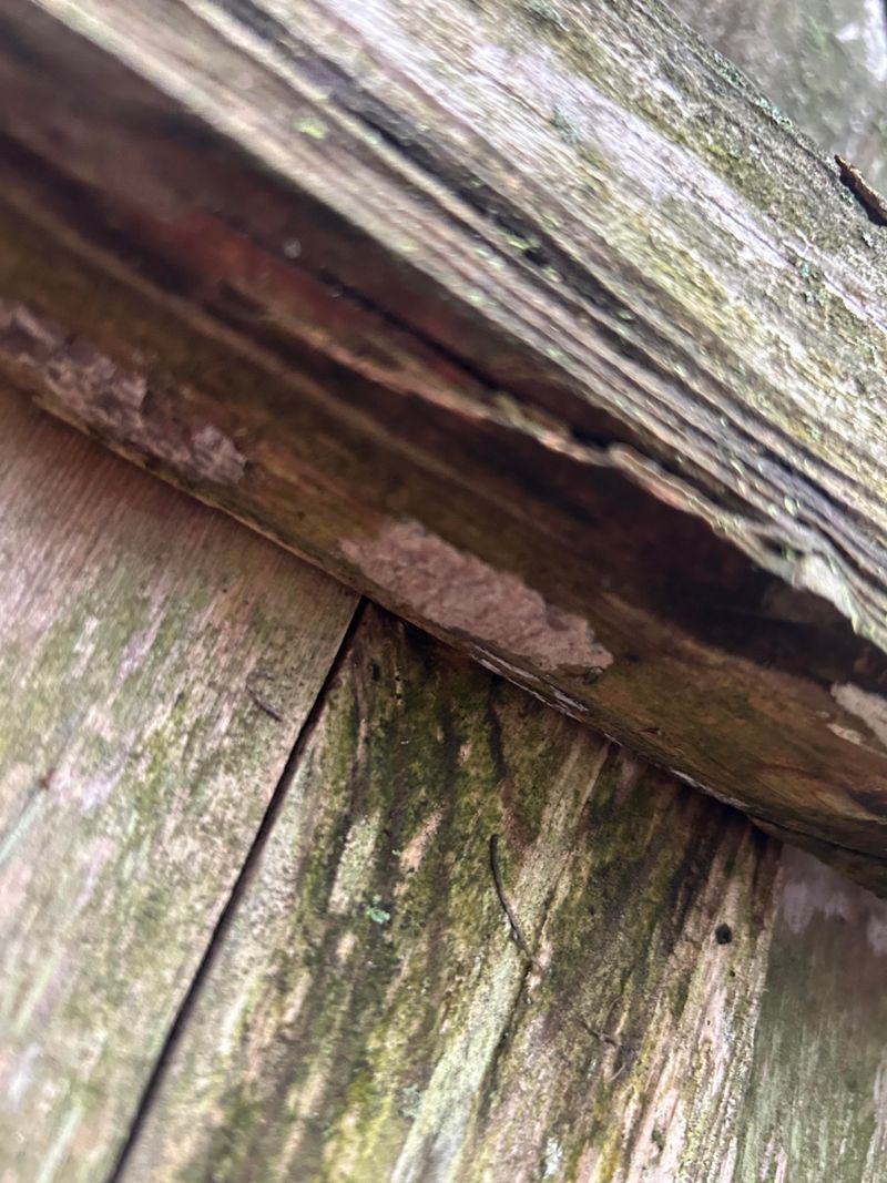 Under The Rails Of Decks And Fences