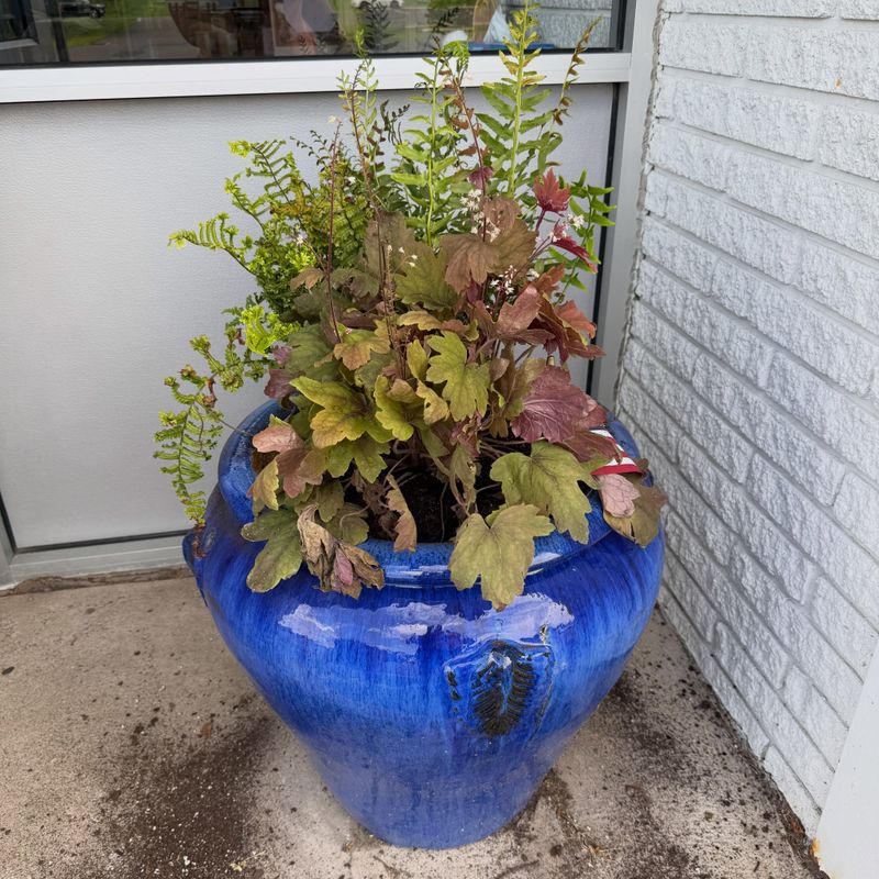 Under The Rims Of Flower Pots And Yard Statues