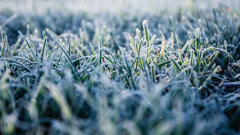 Understanding Ohio’s Different Frost Dates Understanding Ohio’s Different Frost Dates