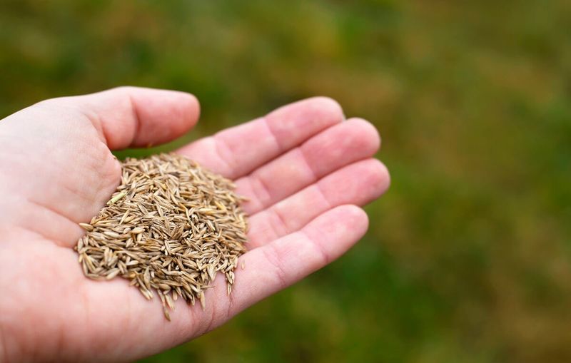 Understanding Pennsylvania's Fall Seeding Window
