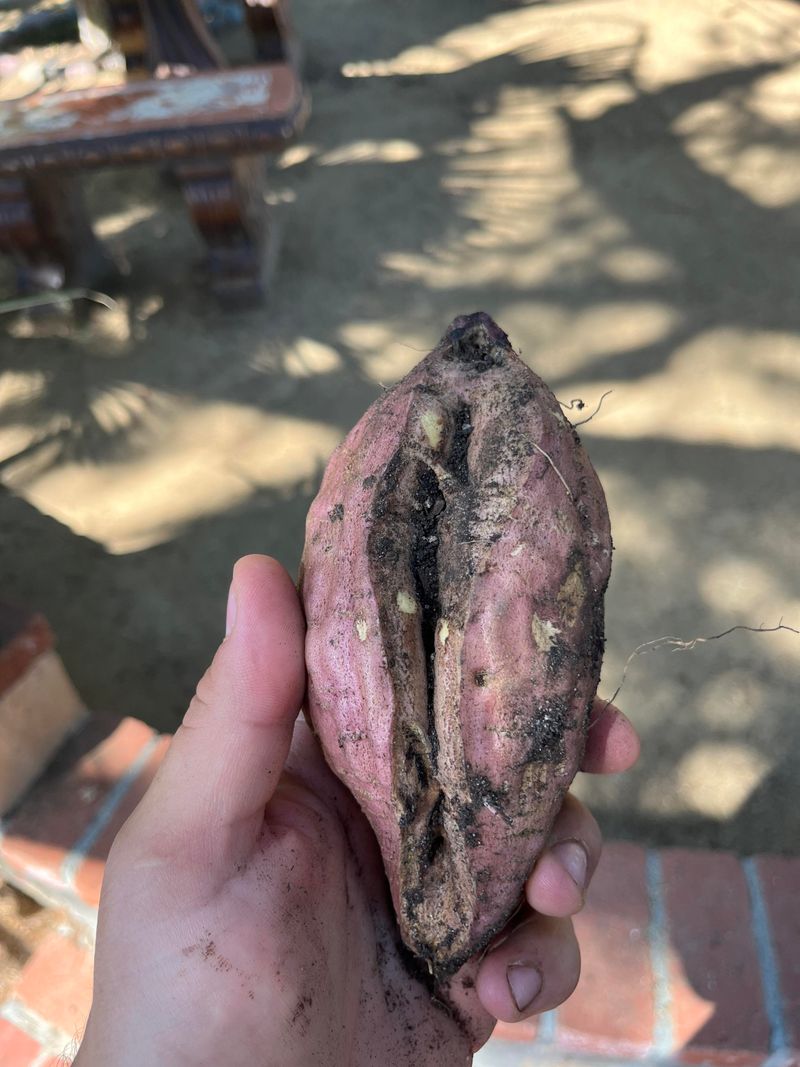 Uneven Moisture Can Cause Cracking