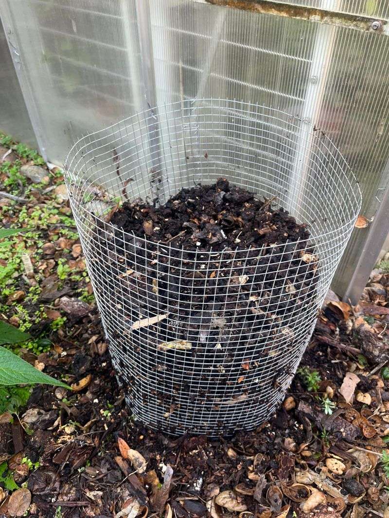 Unfinished Compost Can Rob Soil Of Nitrogen Unfinished Compost Can Rob Soil Of Nitrogen