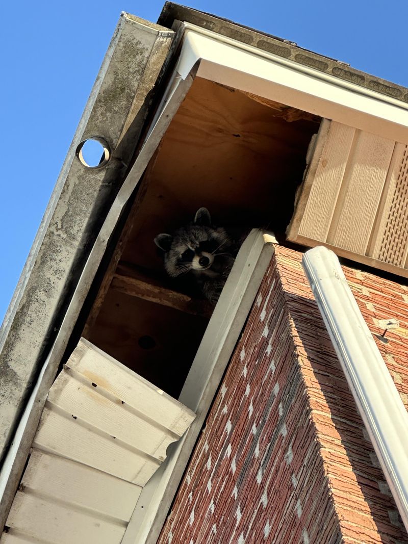 Unsealed Crawl Spaces Unsealed Crawl Spaces
