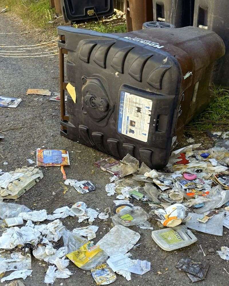 Unsecured Trash Cans Unsecured Trash Cans