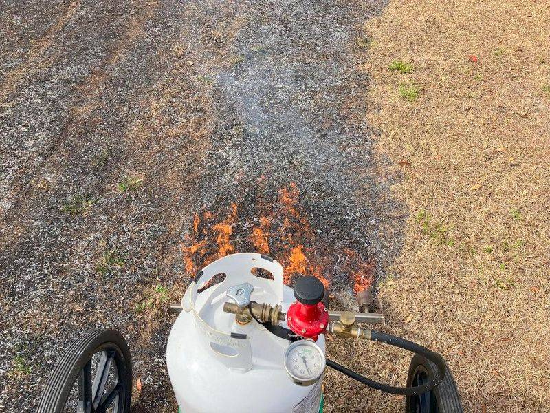 Use A Flame Weeder With Care Use A Flame Weeder With Care