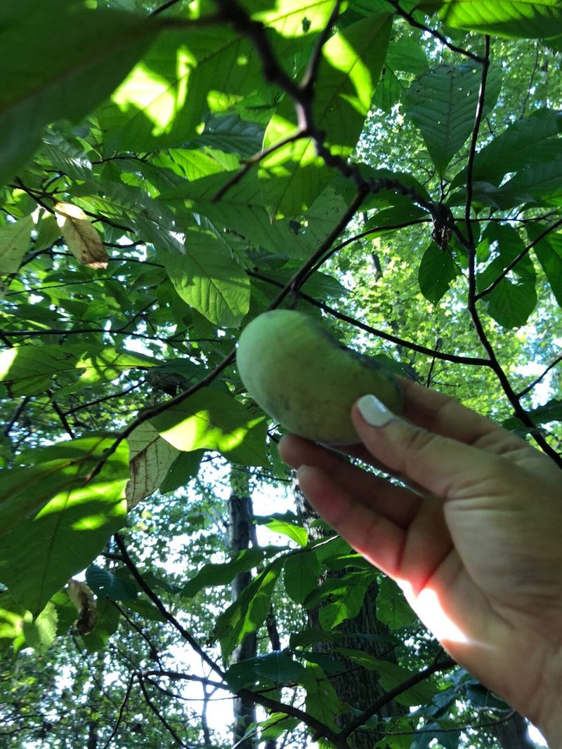 Use A Gentle Thumb Press Test