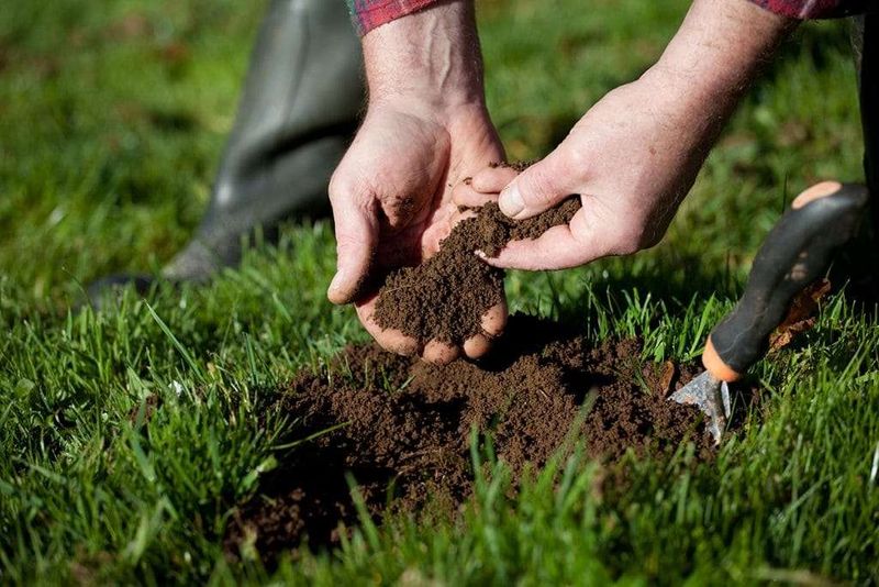Use A Soil Test To Find Real Nutrient Needs Use A Soil Test To Find Real Nutrient Needs