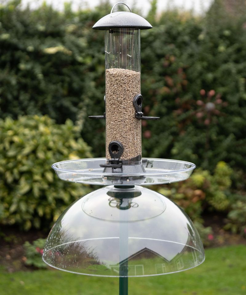 Use Baffles To Keep Unwanted Visitors Off Feeders Use Baffles To Keep Unwanted Visitors Off Feeders
