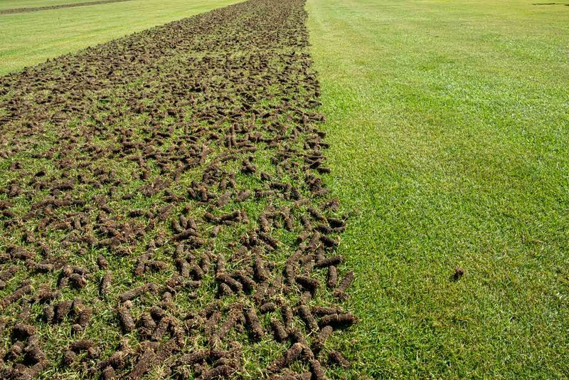 Use Core Aeration To Encourage Decomposition Use Core Aeration To Encourage Decomposition