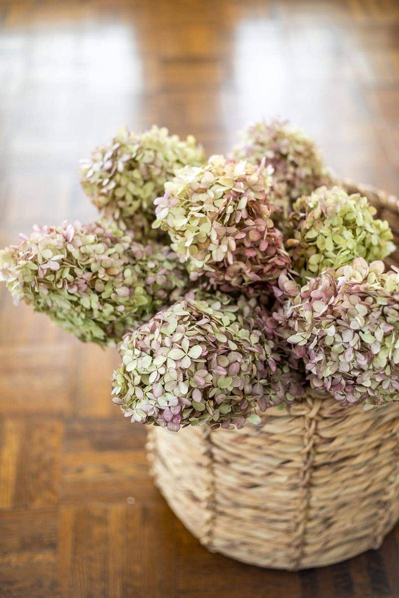 Use Fading Blooms For Fall Interest