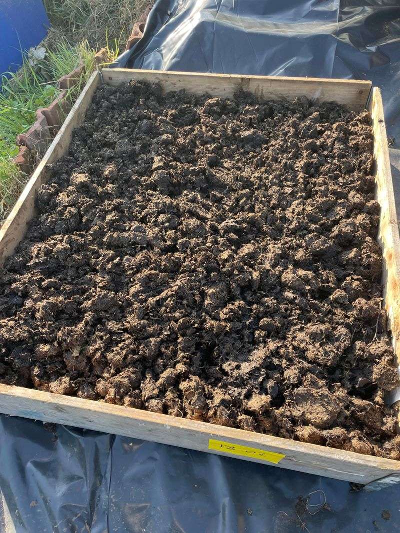 Use Fresh Manure To Increase Nitrogen