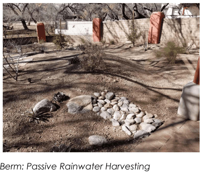 Use Low-Desert Arizona Mulch and Rain Capture Carefully