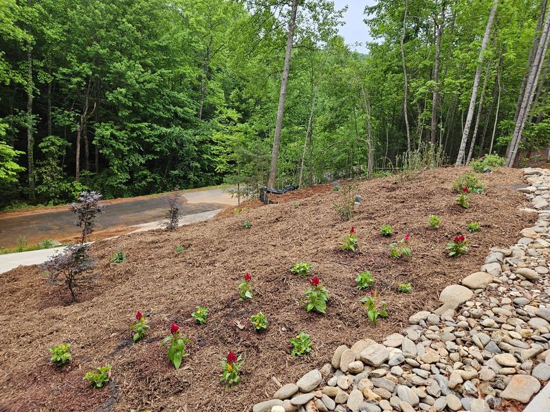 Use Mulch To Protect Exposed Soil Use Mulch To Protect Exposed Soil
