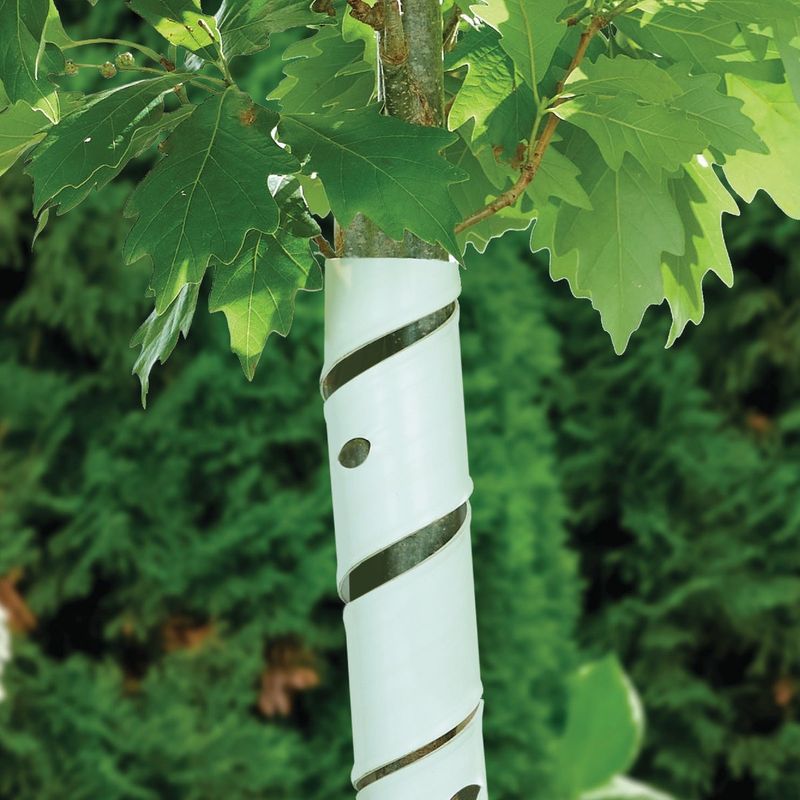 Use Plastic Spiral Guards As A Short-Term Option Use Plastic Spiral Guards As A Short-Term Option