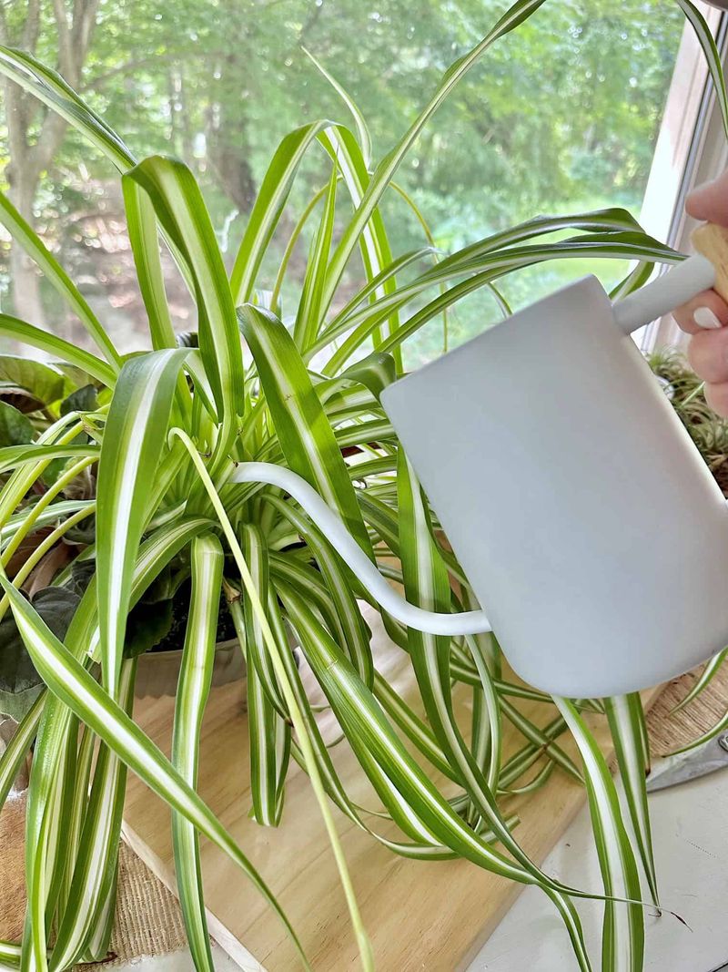 Use Room-Temperature Water Use Room-Temperature Water