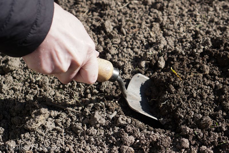 Use The Results To Plan Spring Soil Care