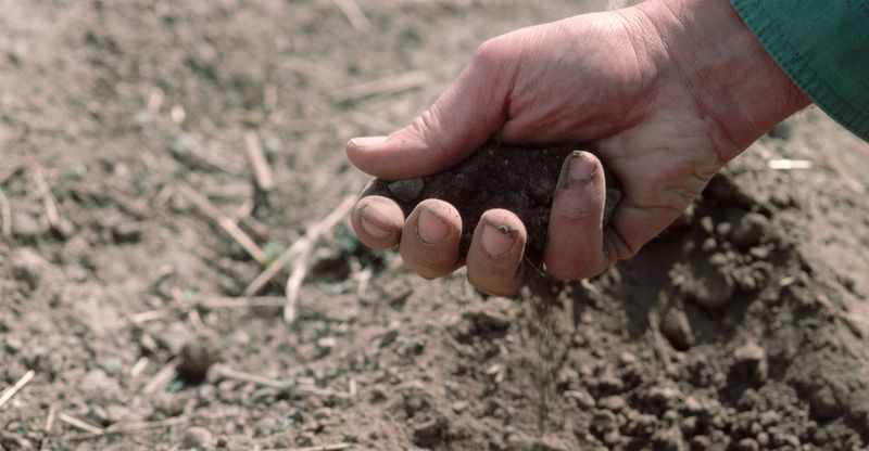 Use Wisconsin Nutrient Results to Plan Spring Applications Use Wisconsin Nutrient Results to Plan Spring Applications