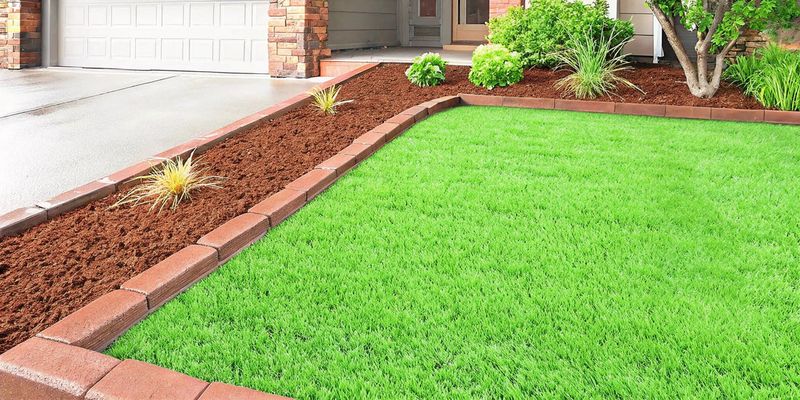 Use clean edges to make habitat areas look intentional Use clean edges to make habitat areas look intentional