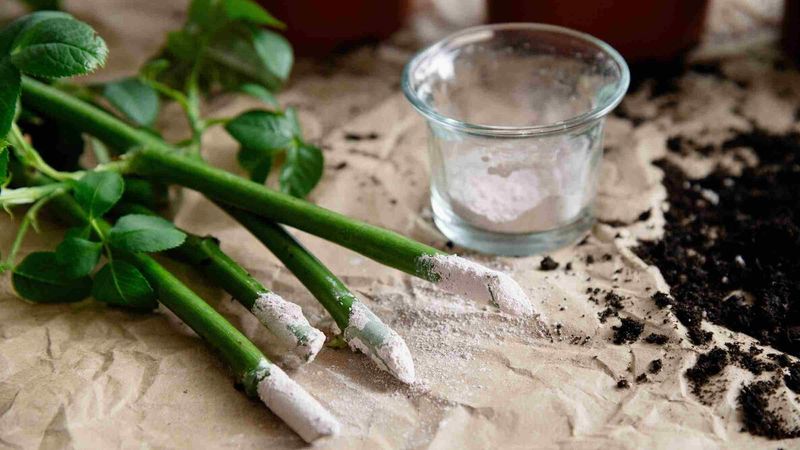 Use labeled IBA instead of a kitchen recipe