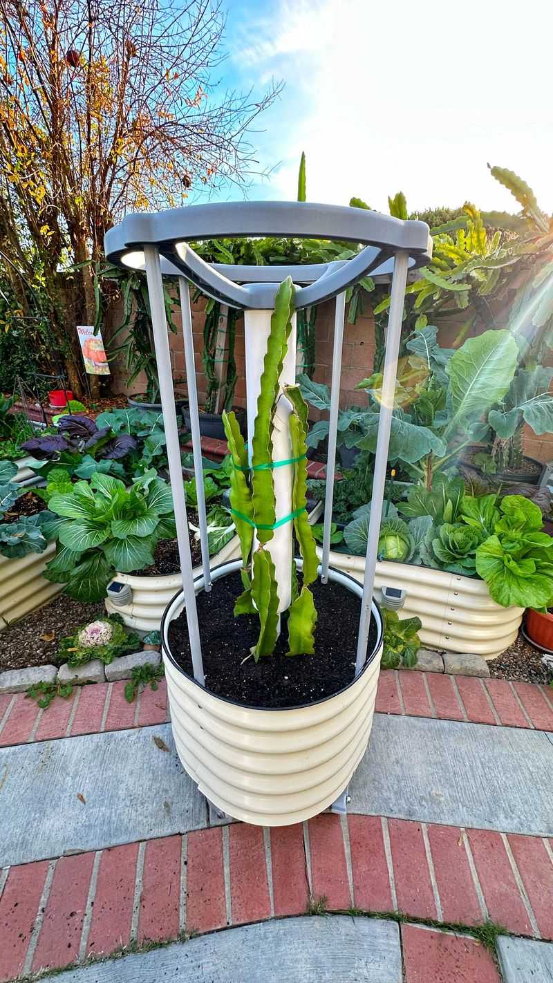 Use the bottle as a propagation chamber, not a water-rooting promise