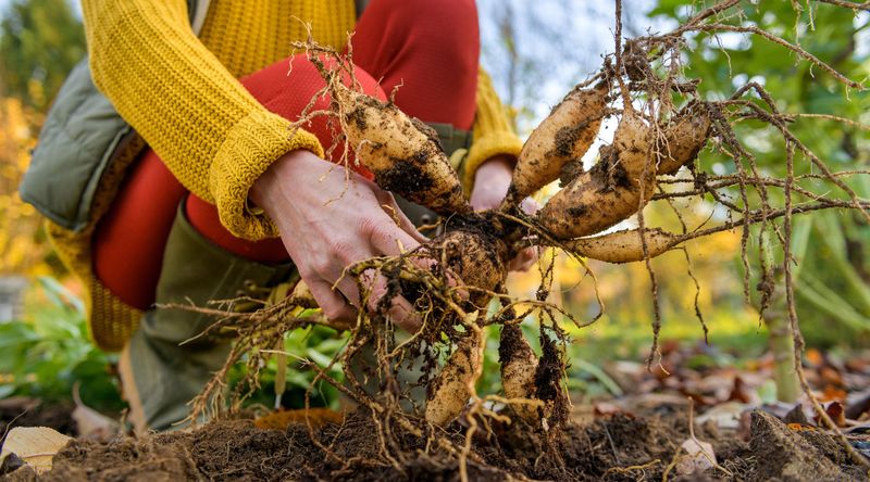 Use this Wisconsin winter checklist before spring planting Use this Wisconsin winter checklist before spring planting