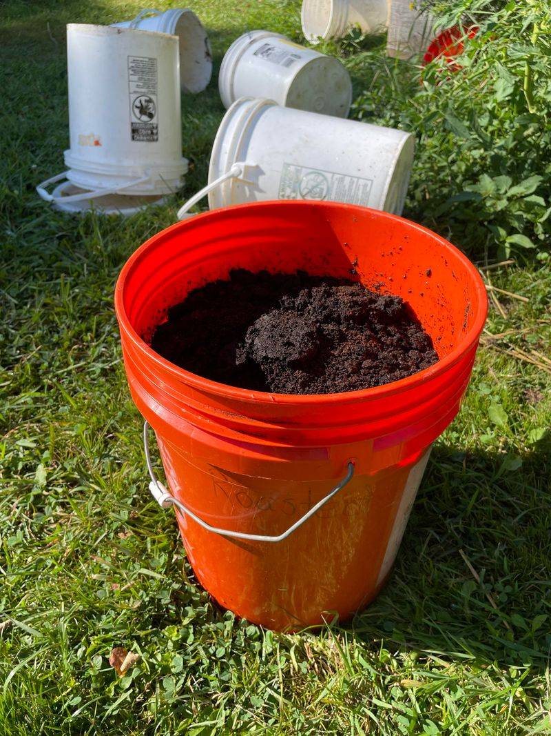 Used Coffee Grounds From The Morning Pot