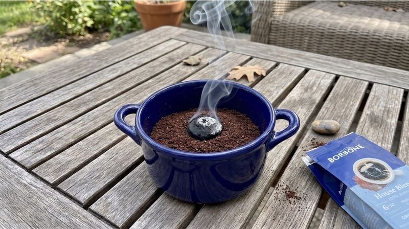 Used Coffee Grounds