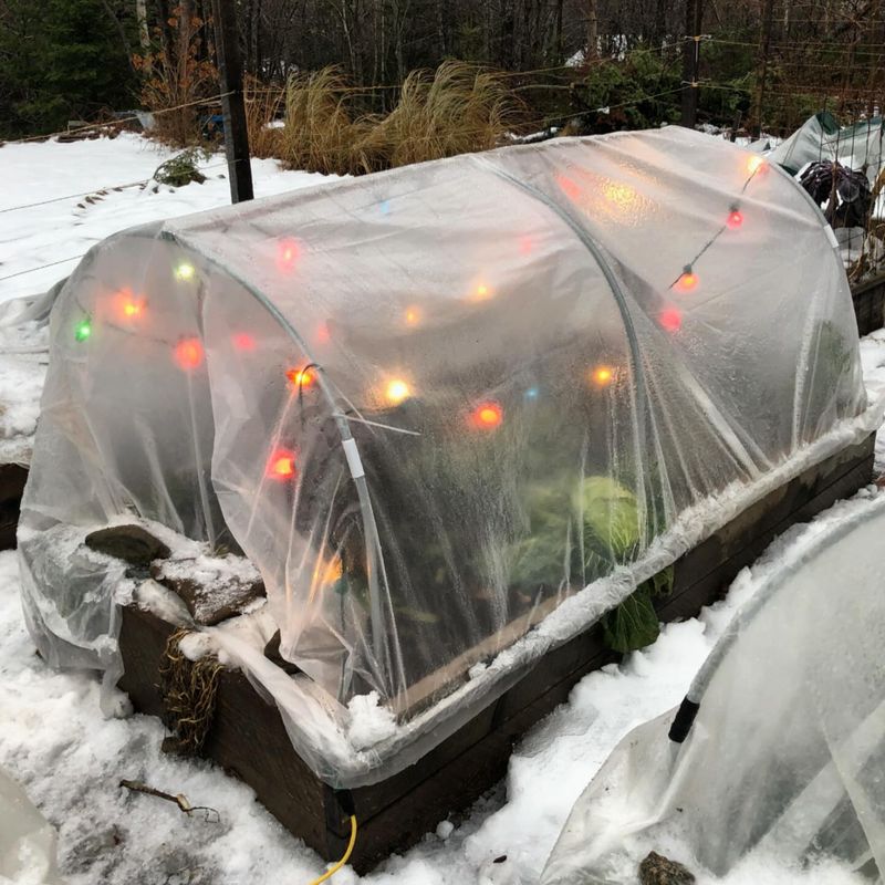 Using Clear Plastic For Colder Weather Using Clear Plastic For Colder Weather