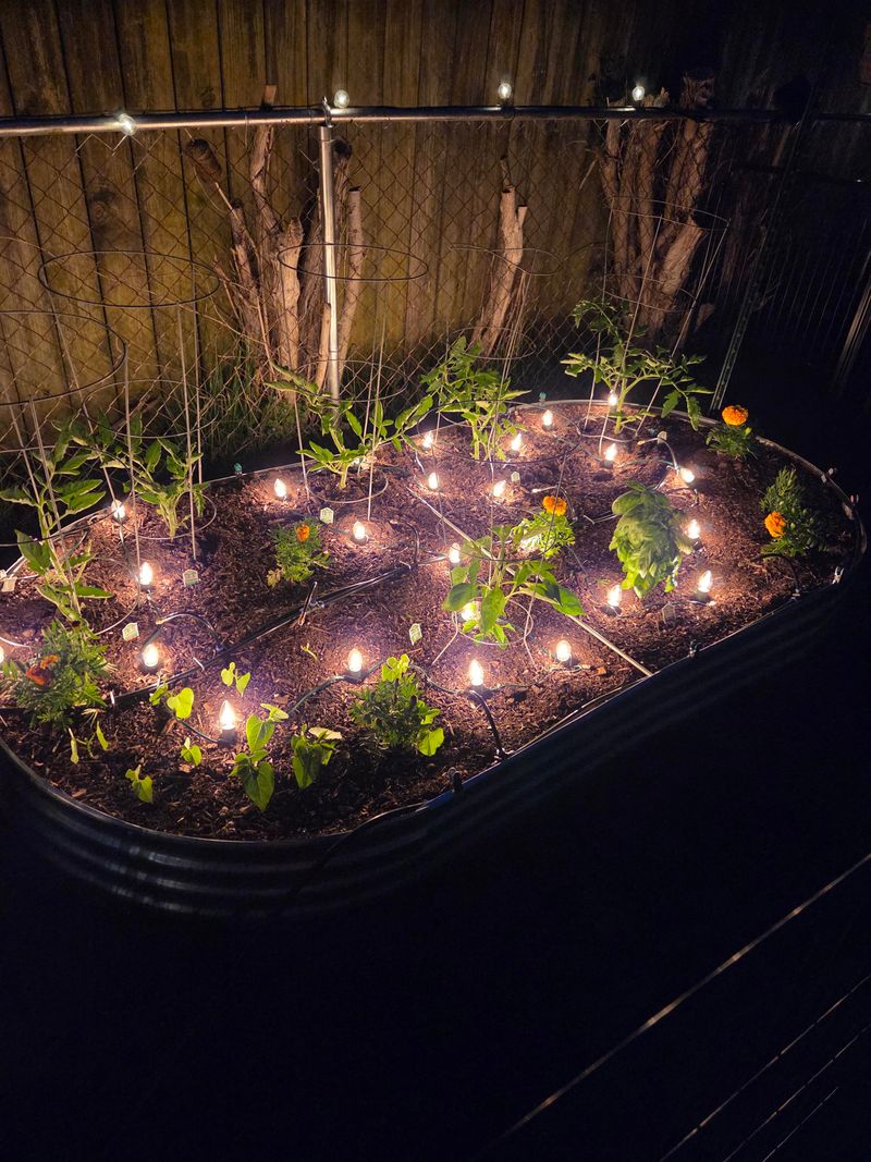 Using Mulch And Smart Watering For Warmth Using Mulch And Smart Watering For Warmth