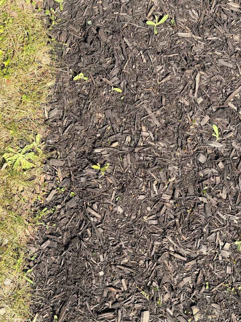 Using Mulch That Connects to Tall Grass
