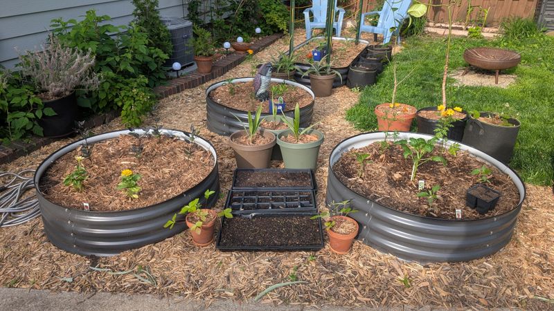 Using Too Much Mulch Using Too Much Mulch