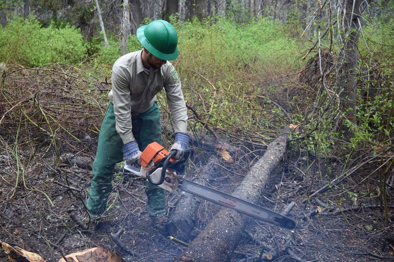 Volunteers, Hand Tools, And A Steady Recovery
