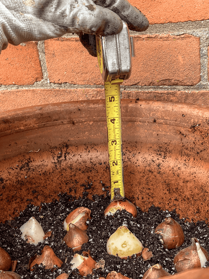 Wait Until Michigan Soil Cools Down