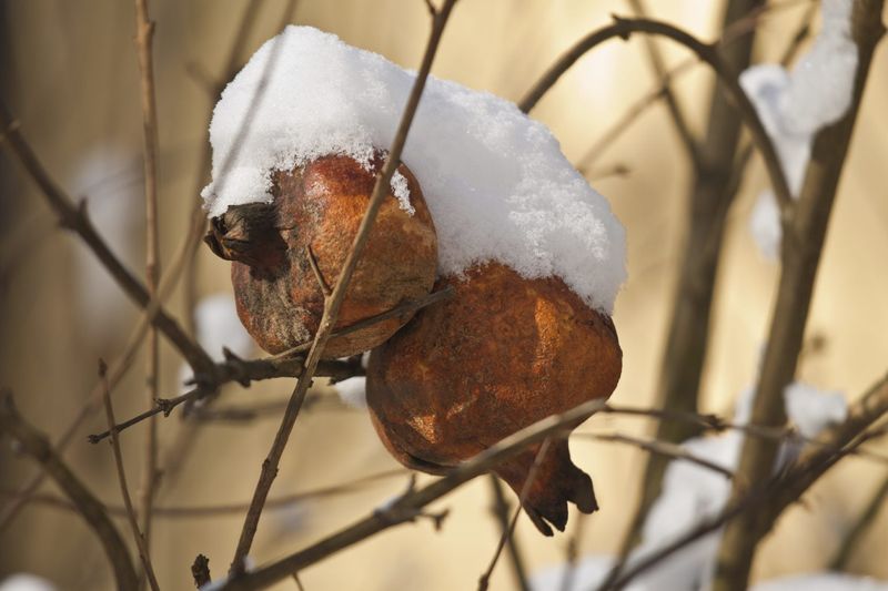 Wait Until The Worst Cold Has Passed Wait Until The Worst Cold Has Passed