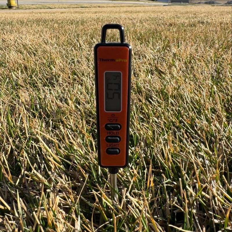 Warm Soil In September Sprouts Seed Faster