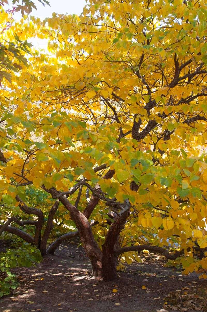 Warm Soil Keeps The Roots Growing Below Ground