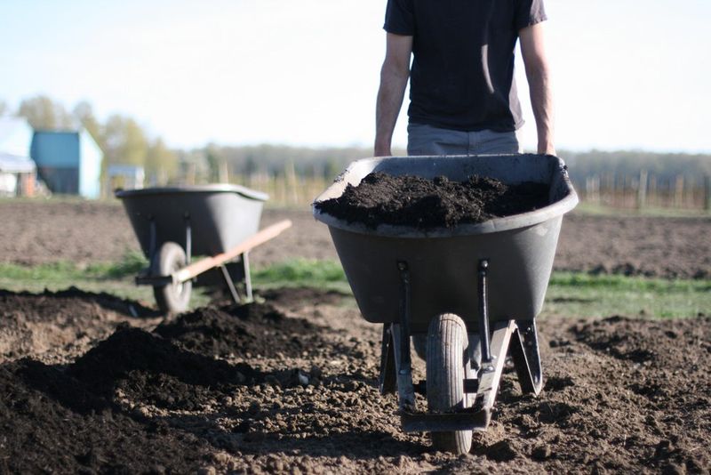 Warm Soil Meets Cool Air, The Perfect Combo