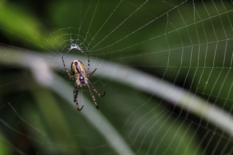 Warmer, Longer Growing Seasons Give Builders Extra Time