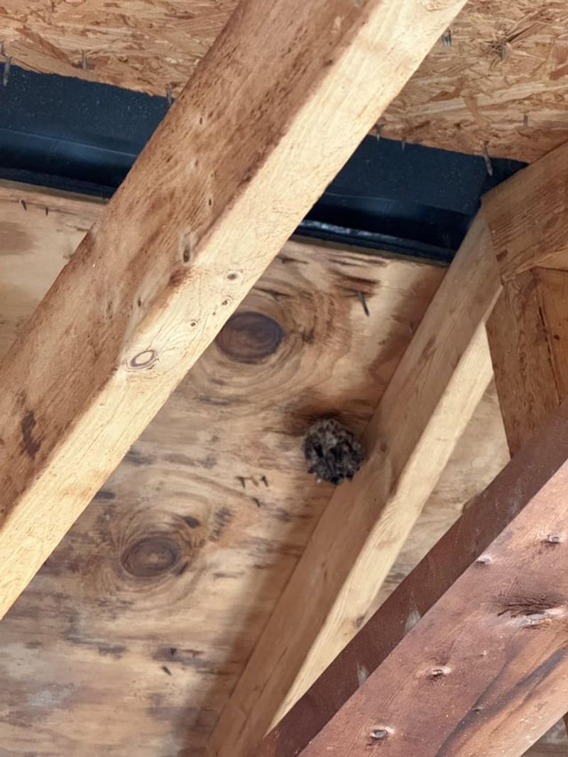 Watch Areas Near Sheds, Decks, And Walkways