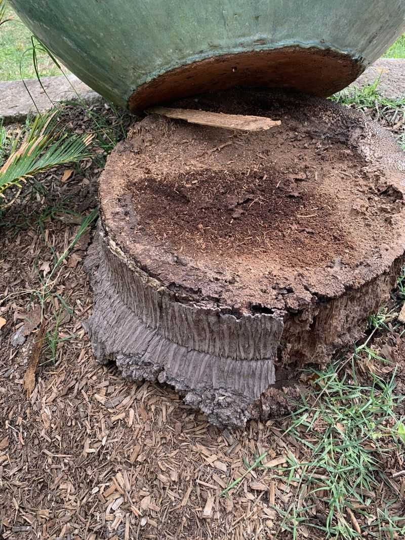 Watch For Insect Activity Before Starting Any Fall Cleanup Watch For Insect Activity Before Starting Any Fall Cleanup