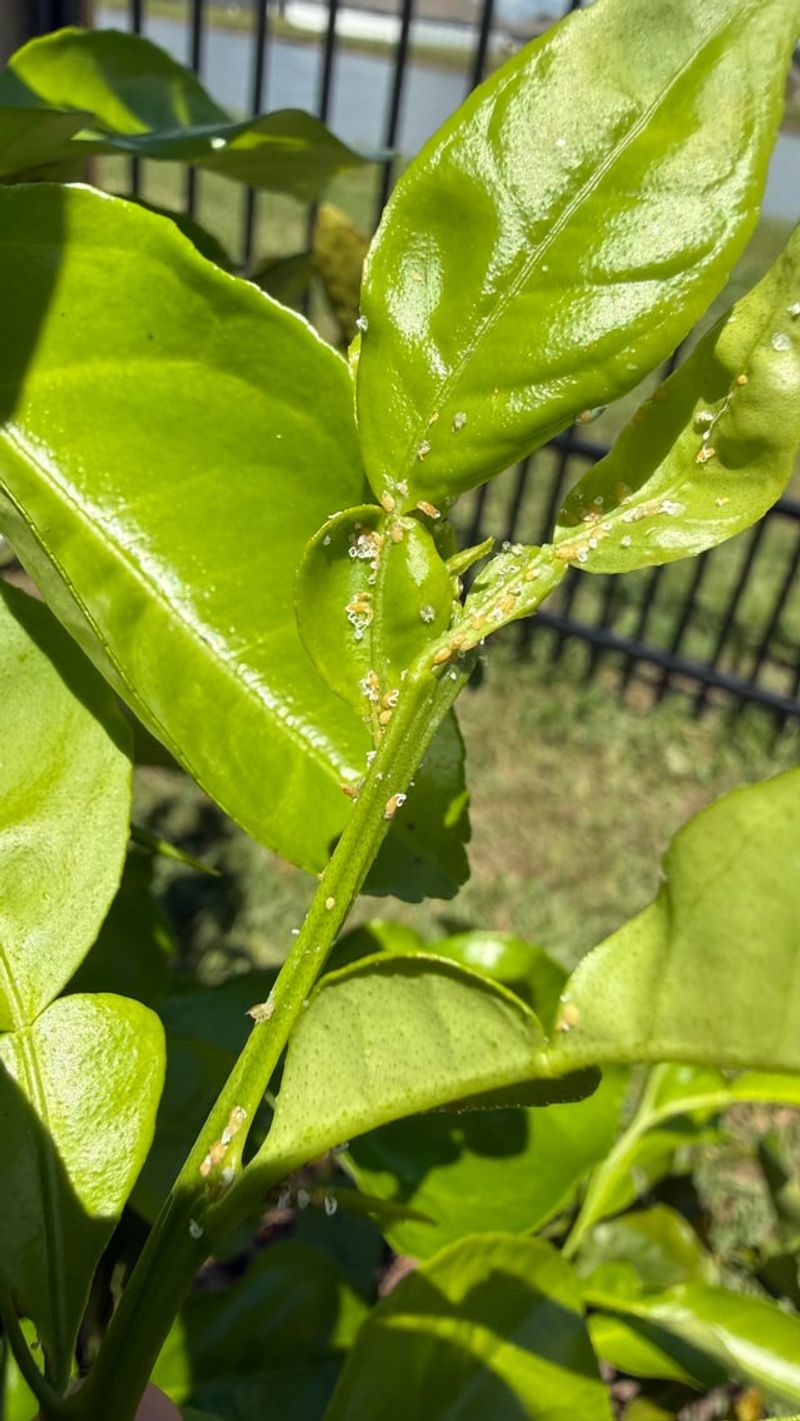 Watch For Pest Shifts As Weather Changes Watch For Pest Shifts As Weather Changes