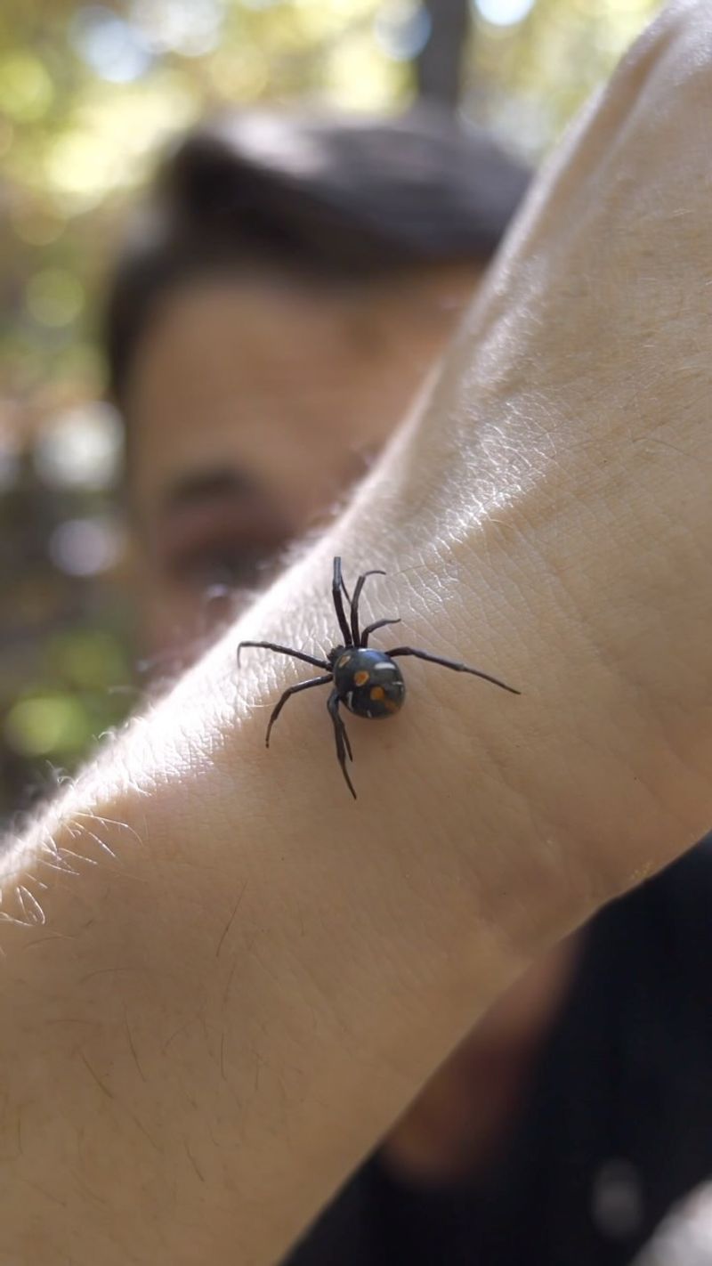 Watch For Symptoms Beyond The Bite