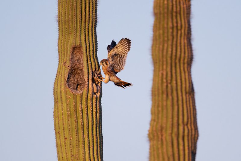 Watch the Food Web, Not Just the Speedometer