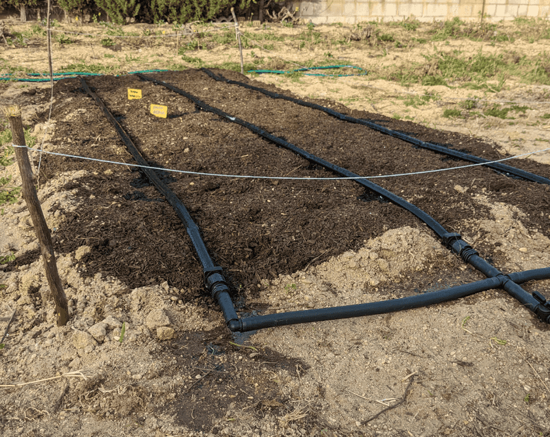 Water Consistently As Roots Establish Water Consistently As Roots Establish