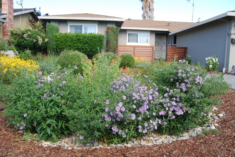 Water-Efficient Landscaping Rules Can Affect HOA Restrictions Water-Efficient Landscaping Rules Can Affect HOA Restrictions